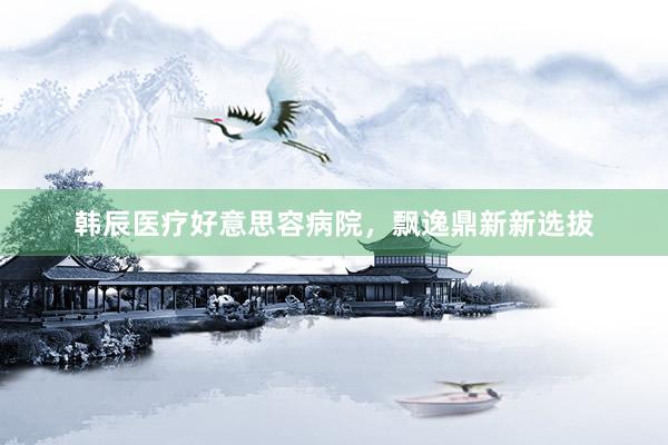 韩辰医疗好意思容病院，飘逸鼎新新选拔