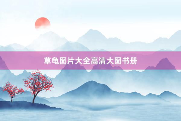 草龟图片大全高清大图书册
