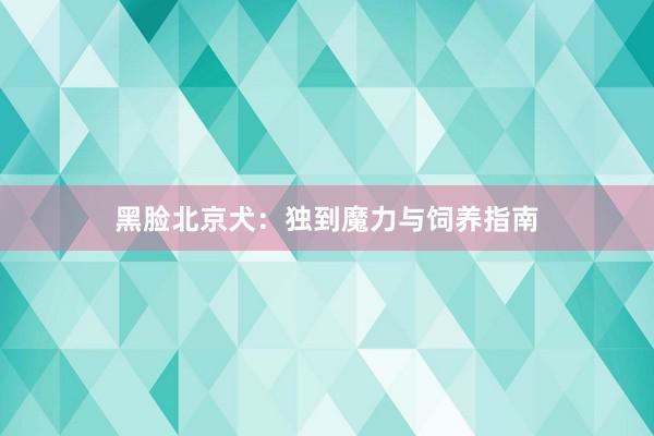 黑脸北京犬：独到魔力与饲养指南